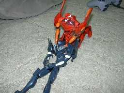 �_�[�N�l�X�E�s���t�H�[��